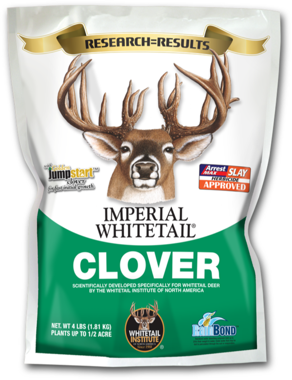 Imperial Whitetail Clover (Perennial)