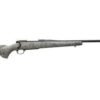 Nosler Rifle