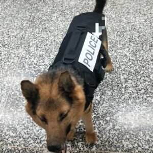 EXECDEFENSE USA DOG BLACK BALLISTIC VEST (III-A)