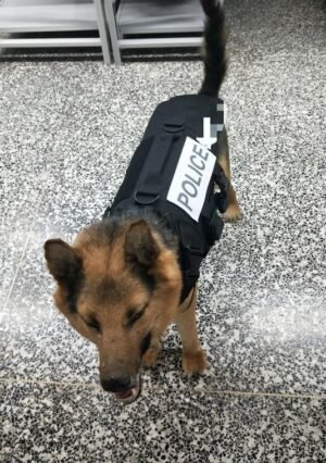 EXECDEFENSE USA DOG BLACK BALLISTIC VEST (III-A)