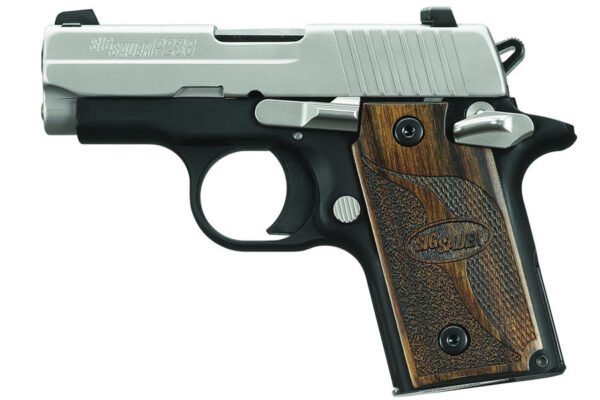 Sig Sauer P238 HD Stainless 380 ACP Centerfire Pistol with Night Sights