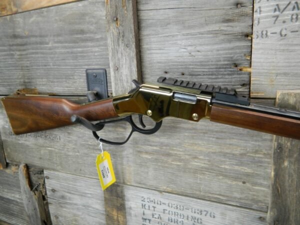 HENRY H004V 17 HMR