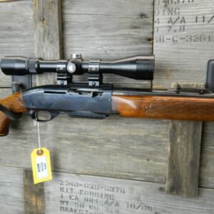 REMINGTON 742 .308WIN